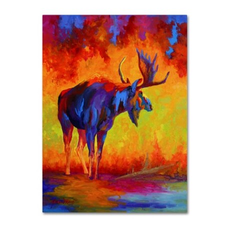 Trademark Fine Art Marion Rose 'Moose 5' Canvas Art, 18x24 ALI15341-C1824GG